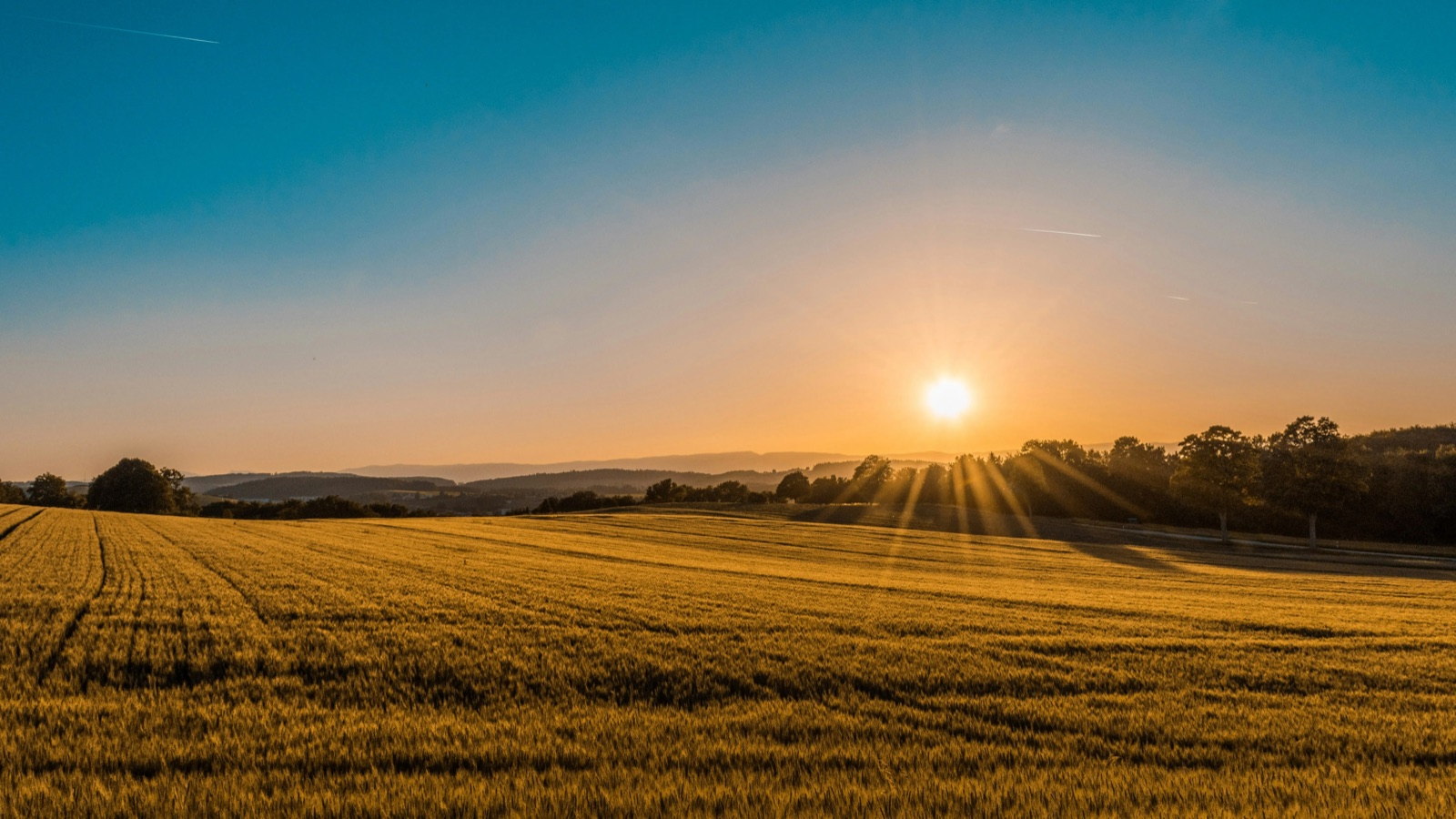 A sunlit field with open sky